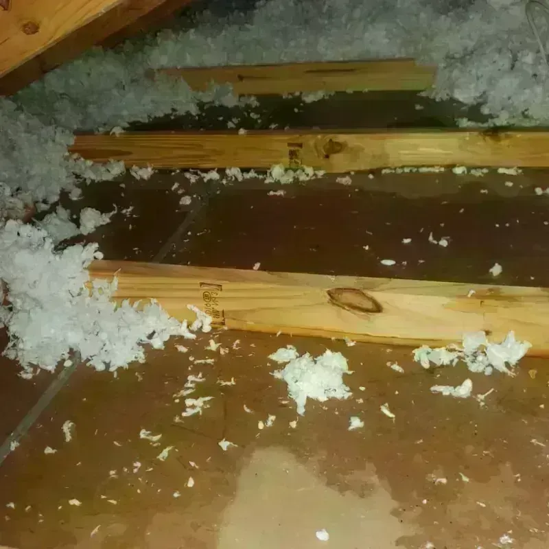 Attic Water Damage in Rio Bravo, TX